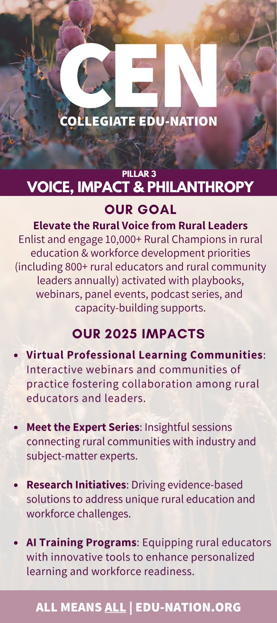 Pillar 3 Voice Impact & Philanthropy